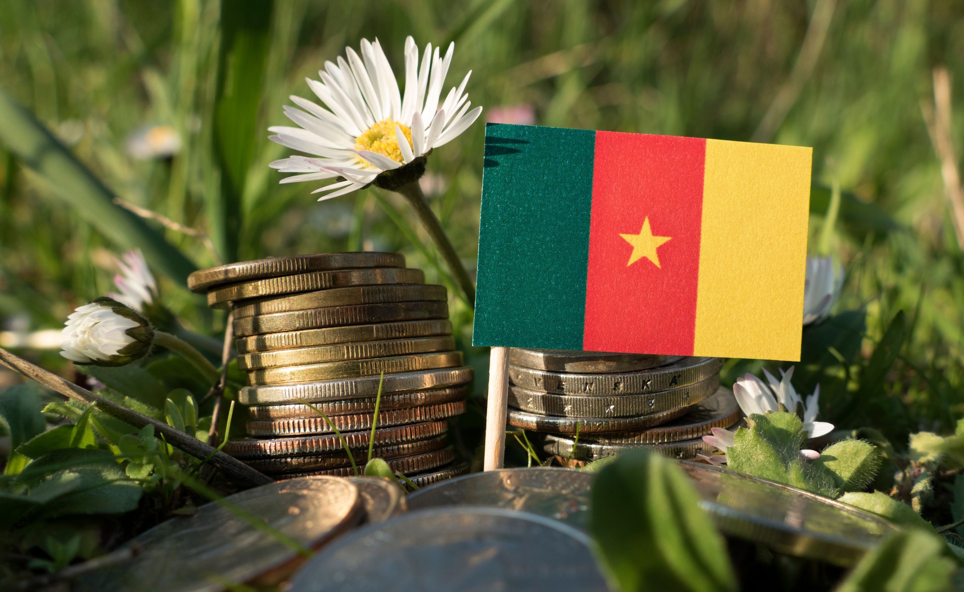 Cameroon flag with stack of money coins with grass and flowers